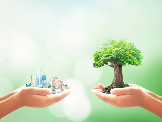 Creating Sustainable Communities: Winstonfield’s Commitment to Environmental Responsibility